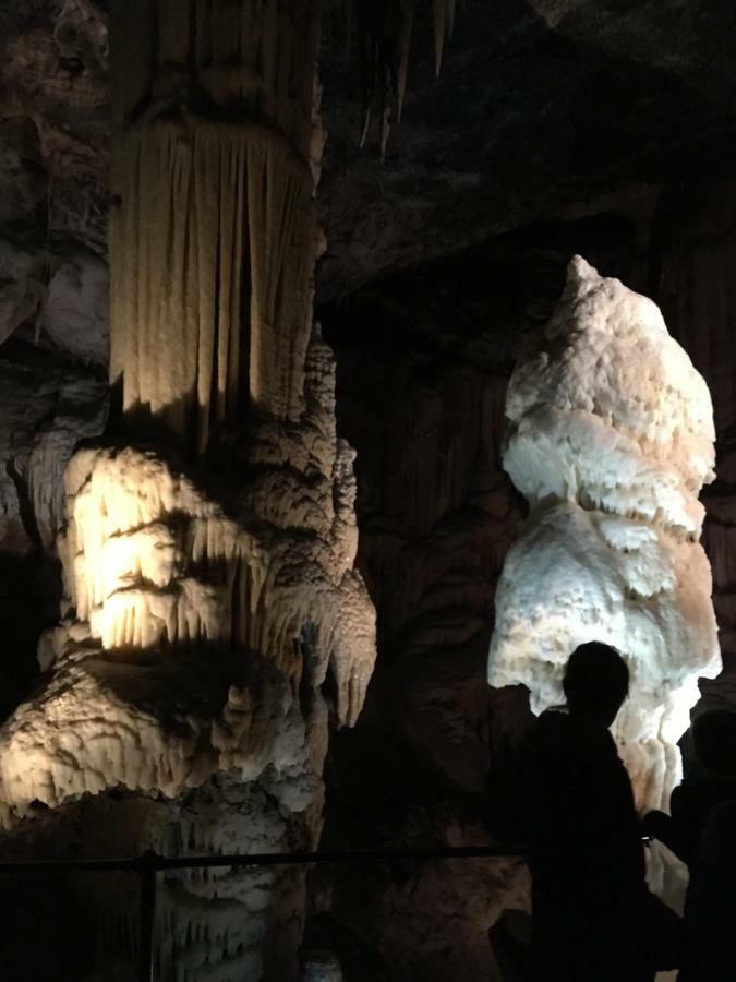 Eagle'S Nest Hostel ポストイナ エクステリア 写真